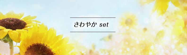 さわやかセット
